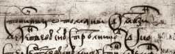 1615 г., «двор Мезина Мелентьева сына Стрельникова»