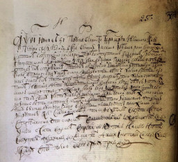 1719 г., сказка Осипа Федотова сына Стрельникова из села Долгого