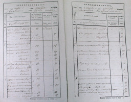 Ревизская сказка 1816 г. деревни Алексеевка Бузулукского уезда Оренбургской губернии