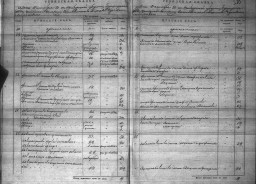 Ревизская сказка 1850 г. деревни Алексеевка Заплавинского общества Усманской волости Бузулукского уезда Оренбургской губернии